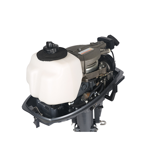 ЛОДОЧНЫЙ МОТОР ALLFA CG T5 в Брянске