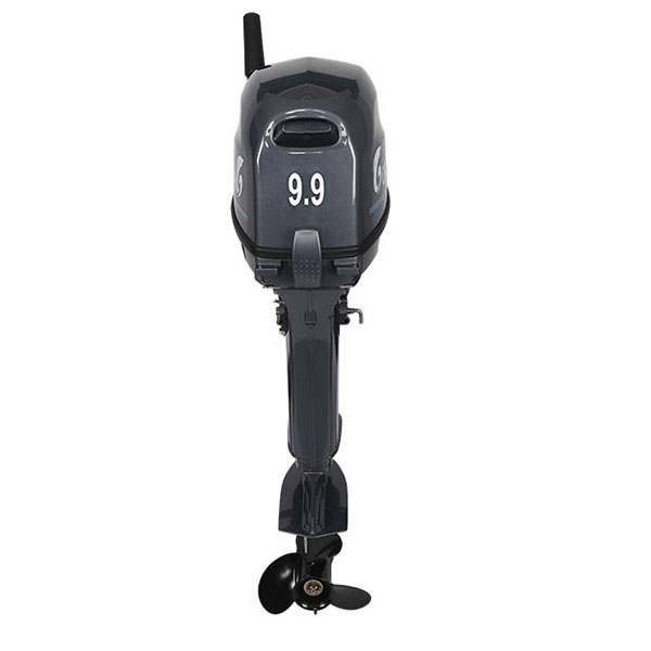 Лодочный мотор ALLFA CG Т9.9(20)MAX в Брянске