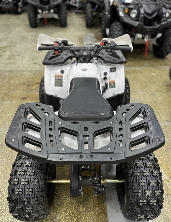 Квадроцикл PROMAX WILD 2.0 190 в Брянске