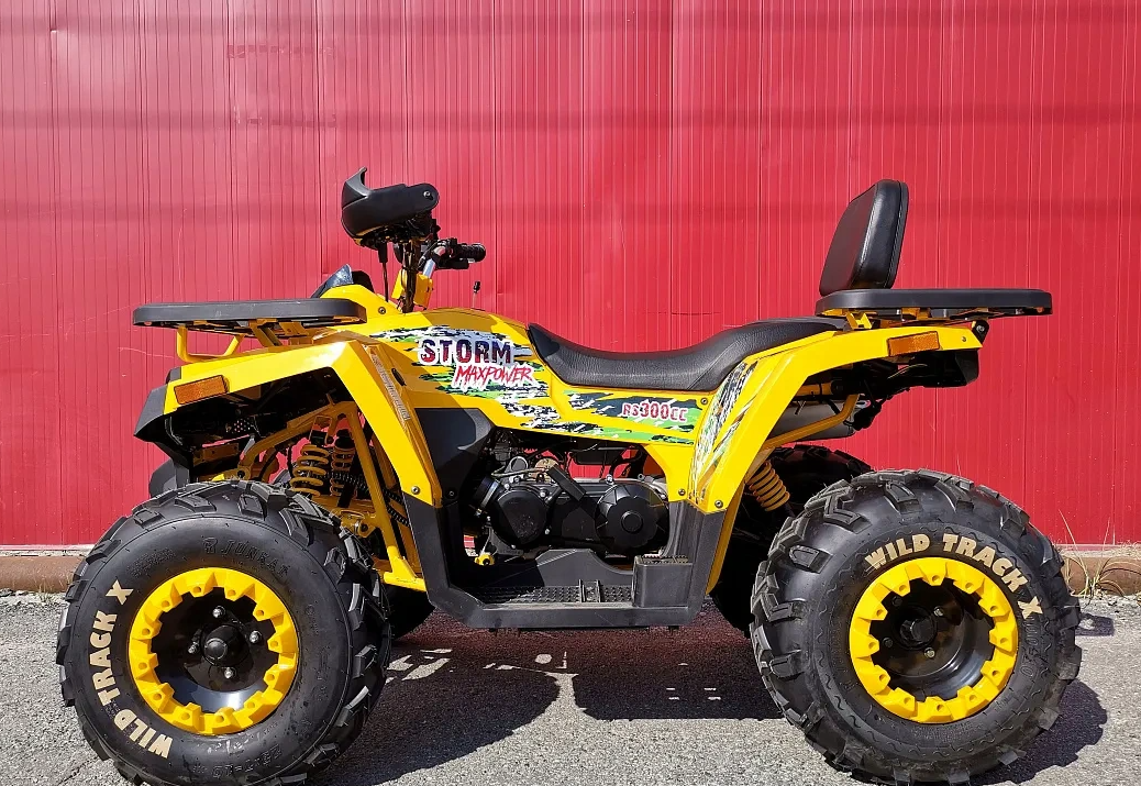 Квадроцикл PROMAX STORM 280 LUX в Брянске