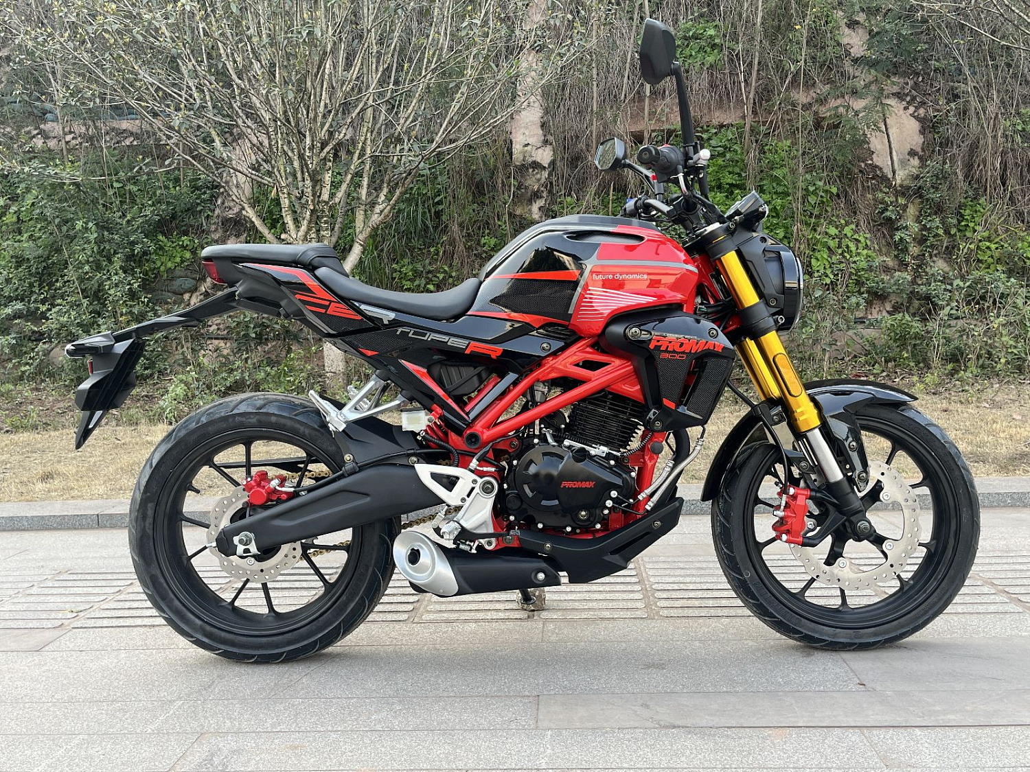 Мотоцикл PROMAX CB300RL (4V, 6G) в Брянске