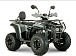 Квадроцикл YACOTA DRAGON LUX LD 150 PRO-SPORT в Брянске