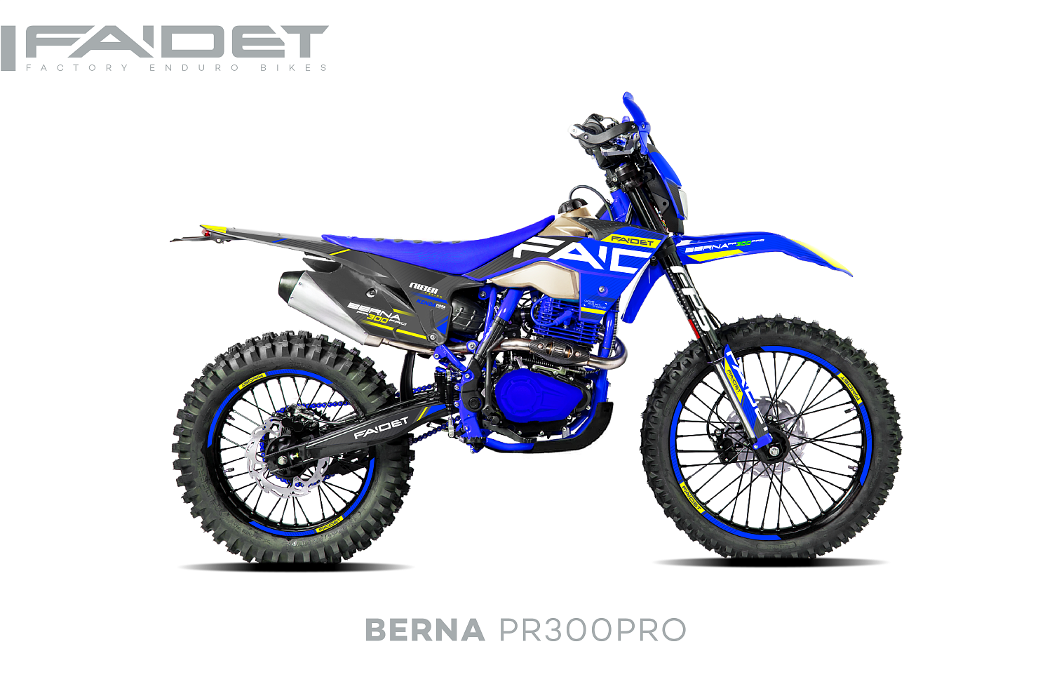 Кроссовый мотоцикл FAIDET BERNA PR300-PRO FPS в Брянске