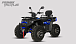 Квадроцикл PROMAX TAURUS 300 MAX-PRO LONG в Брянске