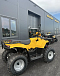 КВАДРОЦИКЛ IRBIS ATV 250  в Брянске