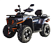 Квадроцикл MOTOLAND (МОТОЛЕНД) 300 MAX X в Брянске