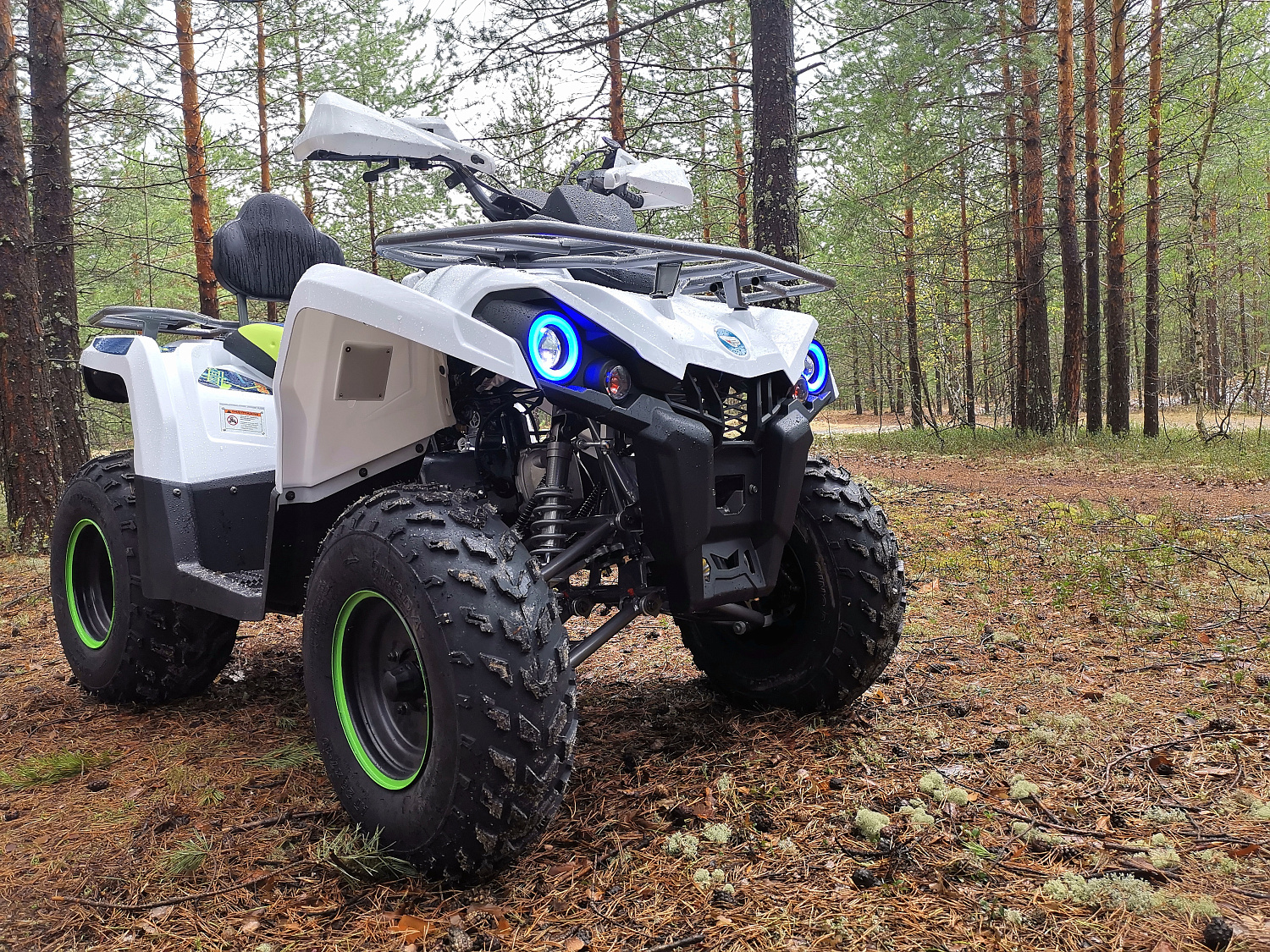 Квадроцикл PROMAX RENEGADE 280 (2025) в Брянске