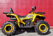 Квадроцикл PROMAX STORM 280 LUX в Брянске