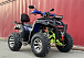  Квадроцикл PROMAX ATV 250 MAX (2025) в Брянске