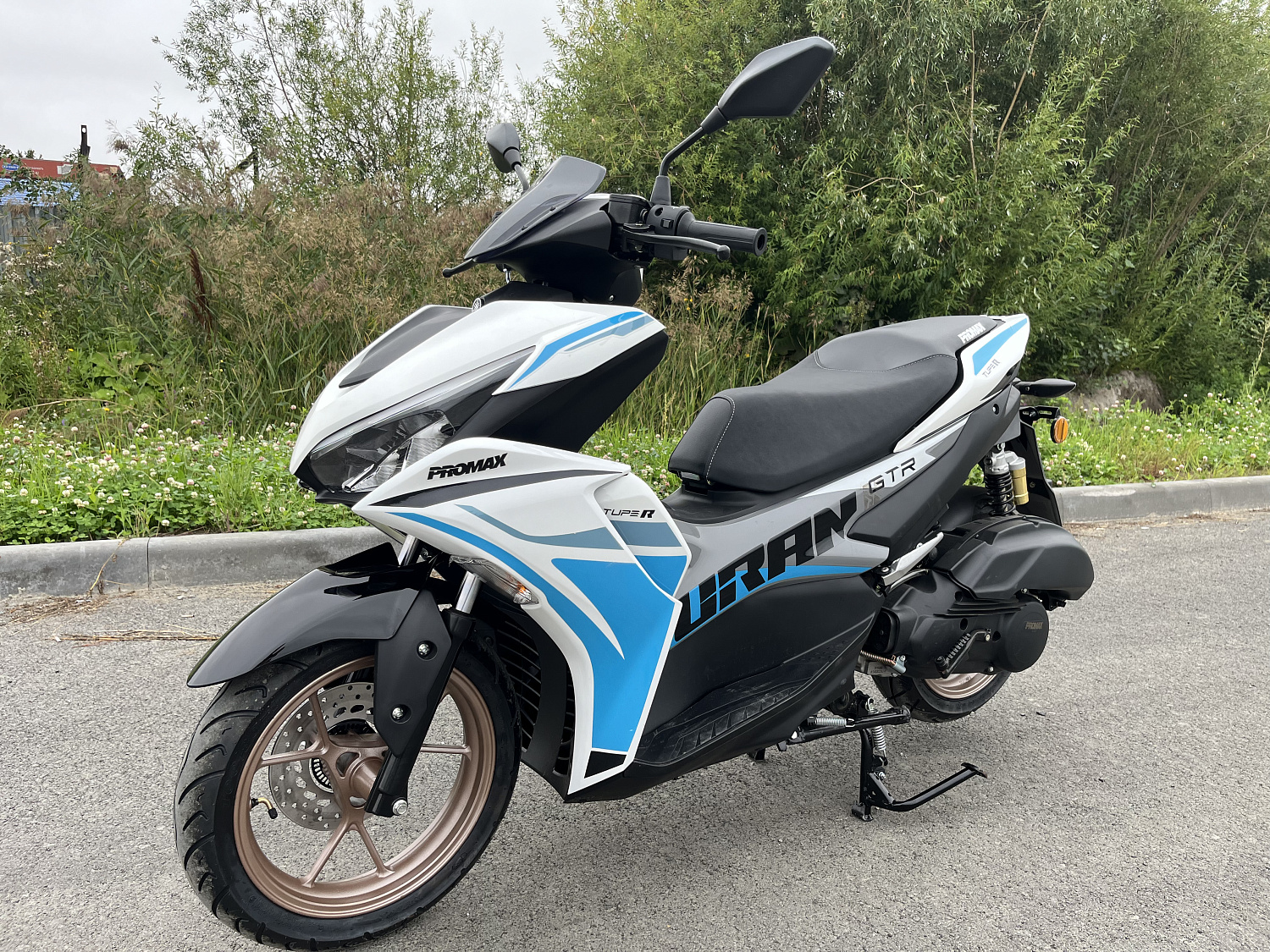 Скутер PROMAX TURAN 250 (49) в Брянске