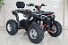 Квадроцикл GBM STORMRIDER 320 PREMIUM в Брянске