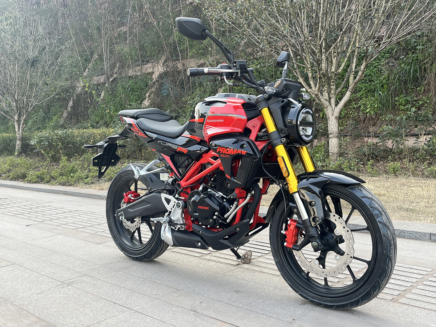 Мотоцикл PROMAX CB300 в Брянске