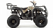 Квадроцикл MOTOLAND (МОТОЛЕНД) 200 ALL ROAD в Брянске