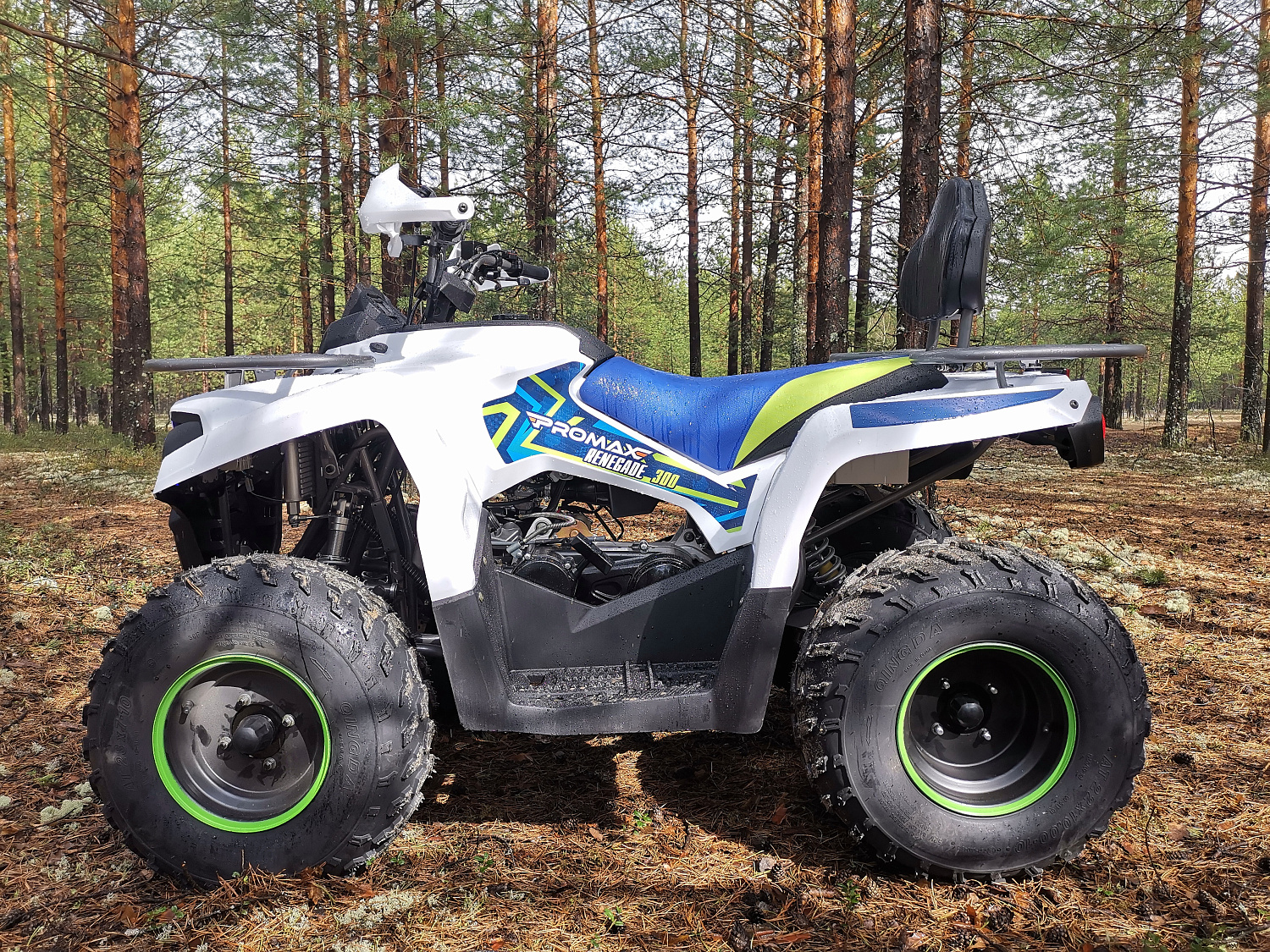 Квадроцикл PROMAX RENEGADE 280 (2025) в Брянске