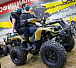 Квадроцикл PROMAX ATV 250 (2025) в Брянске