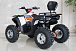 Квадроцикл GBM STORMRIDER 320 PREMIUM в Брянске