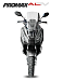 МаксиСкутер PROMAX-HONDA ADV 150 (49) (Inspired by HONDA) в Брянске