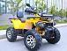 Квадроцикл MOTOLAND (МОТОЛЕНД) VOX200 WILD TRACK X PRO (баланс. вал) в Брянске