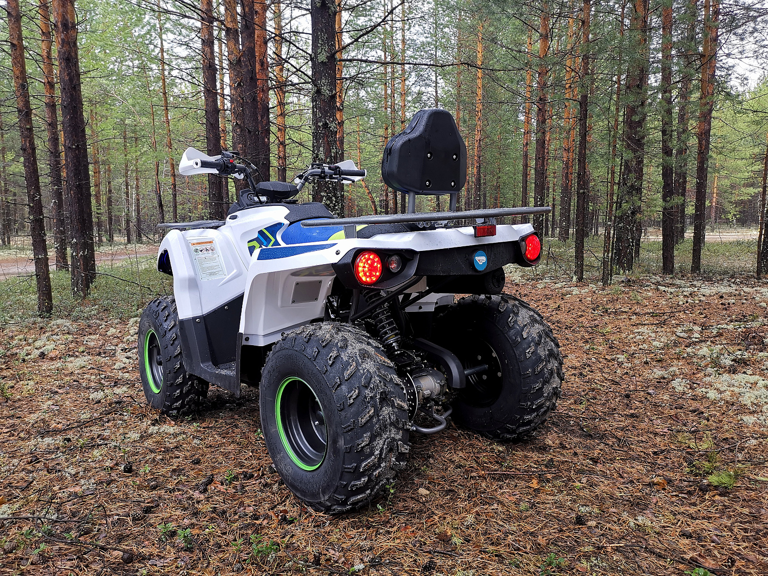 Квадроцикл PROMAX RENEGADE 280 (2025) в Брянске