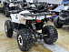Квадроцикл PROMAX WILD 2.0 190 LUX в Брянске