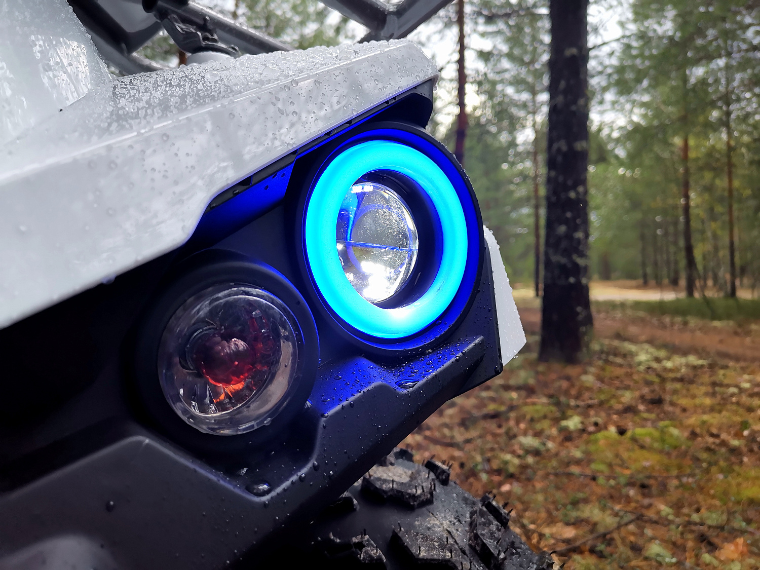 Квадроцикл PROMAX RENEGADE 280 (2025) в Брянске