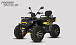 Квадроцикл PROMAX TAURUS 300 MAX-PRO LONG в Брянске